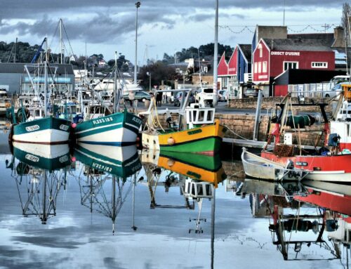 Paimpol : une histoire et des expériences captivantes